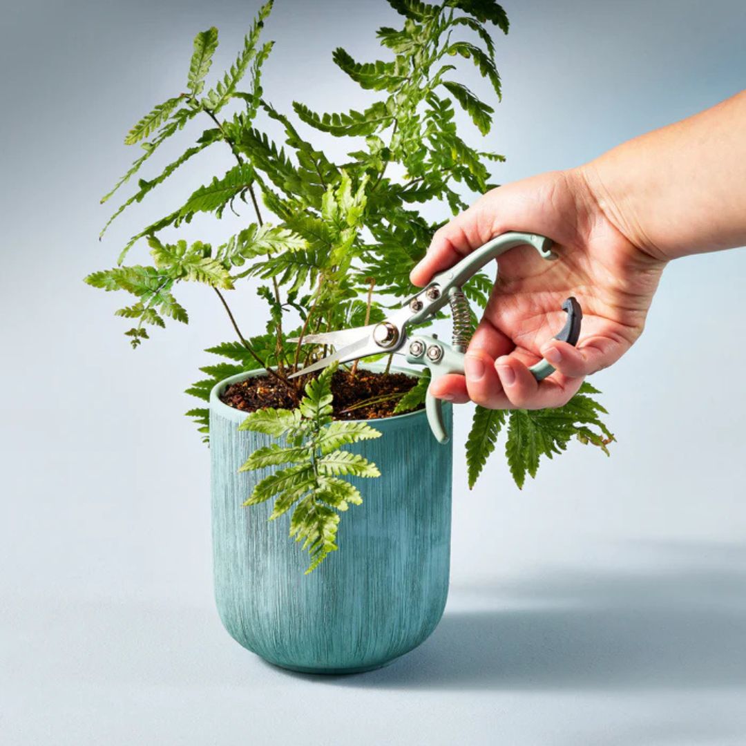 Gardening Shear – Mondern Sprout – Sage